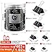 152 Pack Binder Clips Assorted Sizes, YSeaWolf,6 Different Sizes of Multipurpose, not Thin, not Easy to Break, Spring Tension Suitable Paper Clips, Paper Clamps - Sturdy Container Included(Black)