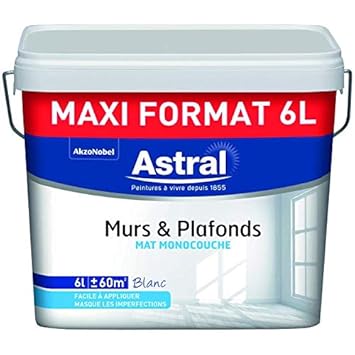Astral 5272392 Wall And Ceiling Paints Amazon Co Uk Diy Tools