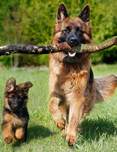 Notebook: German Shepherd Dog Dogs Puppy Puppies 8.5