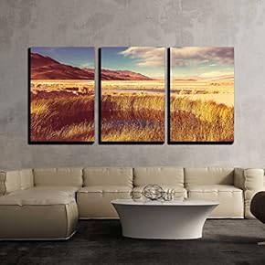 Landscapes in Northern Argentina x3 Panels