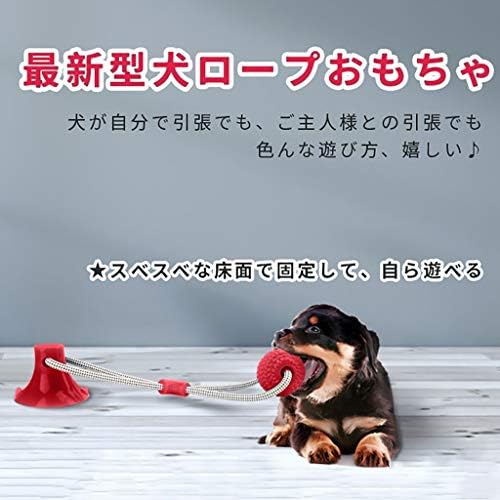 犬 おもちゃ ロープ おもちゃ 噛むおもちゃ 犬用 ペット おもちゃ ボール 吸盤式 犬臼歯噛みおもちゃ 犬ロープおもちゃ 多機能 犬おもちゃ 人気 ストレス解消 運動不足解消 清潔 歯磨き 安全弾性 知育 耐久性 丈夫 犬 ろーぷ おもちゃ 中 小型犬に適応 ダークブルー