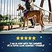 2 Hounds Design Freedom No Pull Dog Harness, Adjustable Harness and Leash Set, Easy Walking & Comfortable Control, Fits Small, Medium & Large Dogs, Solid Colors, Made in USA, 1