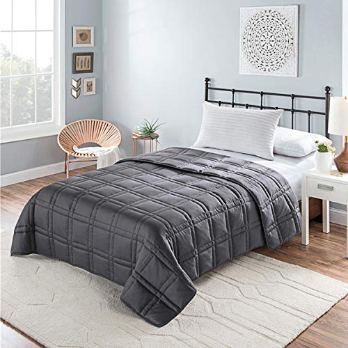 htovila Weighted Blanket 10 lbs 48"x72" for Kids& Adults, Heavy Blanket