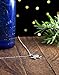 Sterling Silver Darwin Fish - (Pendant, or Necklace)