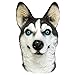 Off the Wall Toys Dogs Husky Costume Face Mask Kennel Club Dog Mask for Halloween Sports and More
