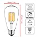 GEZEE 10W Edison Style Vintage LED Filament Light Bulb, 100W Incandescent Replacement,Warm White 2700K,1000LM, E26 Medium Base Lamp, ST21(ST64) Antique Shape, Dimmable(3-Pack)