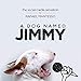 A Dog Named Jimmy: The Social Media Sensation