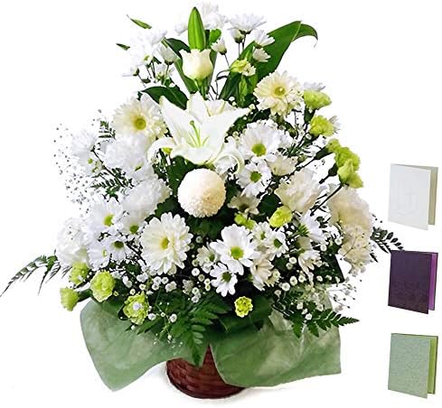 電報屋のエクスメール 供花 お供えアレンジシンパシー と 布張りカード電報 のセット お供え花 アレンジメント 白 電報 お悔やみ フラワー 祈り 市販 弔電 台紙 323