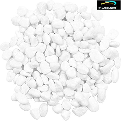 Happie Shop HS Aquatics Aquarium Gravel Pebble Decoration Stones (White) 1Kg Approx.