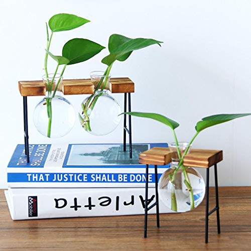 B Blesiya Wooden Shelf Plant Stand Ladder Storage Indoor Outdoor Garden Display Flower Pot Planter Supports Holder Rack 6cm - 3 Vase