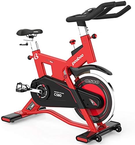 L NOW Indoor Cycling Bike Exercise Bike Stationary Commercial Standard with 40lb Flywheel, Ipad Mount, Soft Cushion, LCD Display, Belt Drive Smooth and Quiet