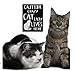 Crazy Cat Lady Lives Here Wooden Sign - Funny Cat Mom Decor, Pet Owner Wall Art, Made in USA