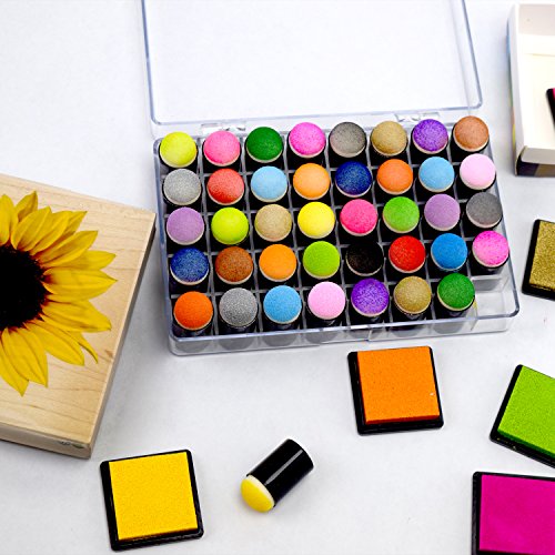 5 Sponge+Daubers+Stamping+Storage+JamieCraft