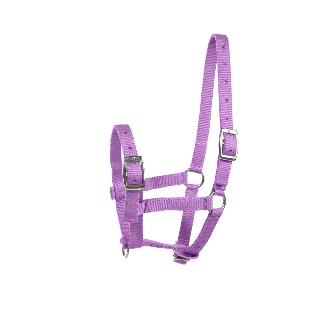 Horze Foal Halter, Purple, foal