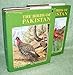 The Birds of Pakistan: Volume 1: Regional Studies and Non-Passeriformes by 