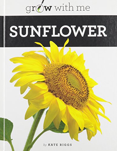 Sunflower (Grow with Me)