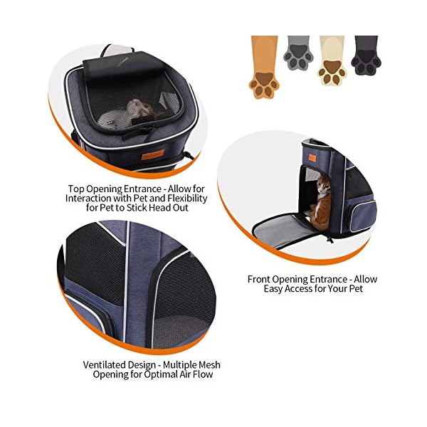 morpilot cat carrier