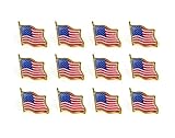 12 PCS IFfree AMERICAN FLAG LAPEL PINS 0.75