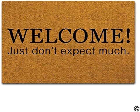 AoBoDo Doormat Entrance Floor Mat Welcome! Just Don't Expect Much Door Mat with Non Slip Rubber Backing Decorative Indoor Outdoor Door Mat, 23.6 by 15.7 Inch