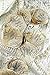 Bride To Be Decorations, Bridal Shower Table Decorations, Boho Bridal Shower, Bridal Shower Decor, Confetti