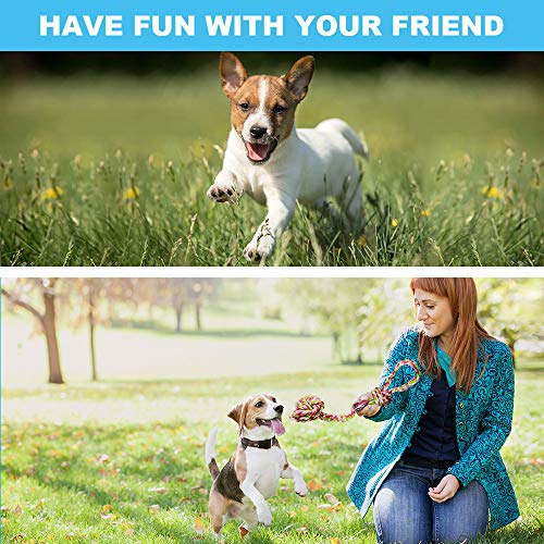DELOMO Dog Rope Toys, 12 Pack Dog Rope Toys,Dog Chew Toys, Dog Playing Toys, Washable, Nearly Indestructible, 100% Natural Cotton Dog Rope Toy Set, Teething Toy for Small Dogs & Puppy