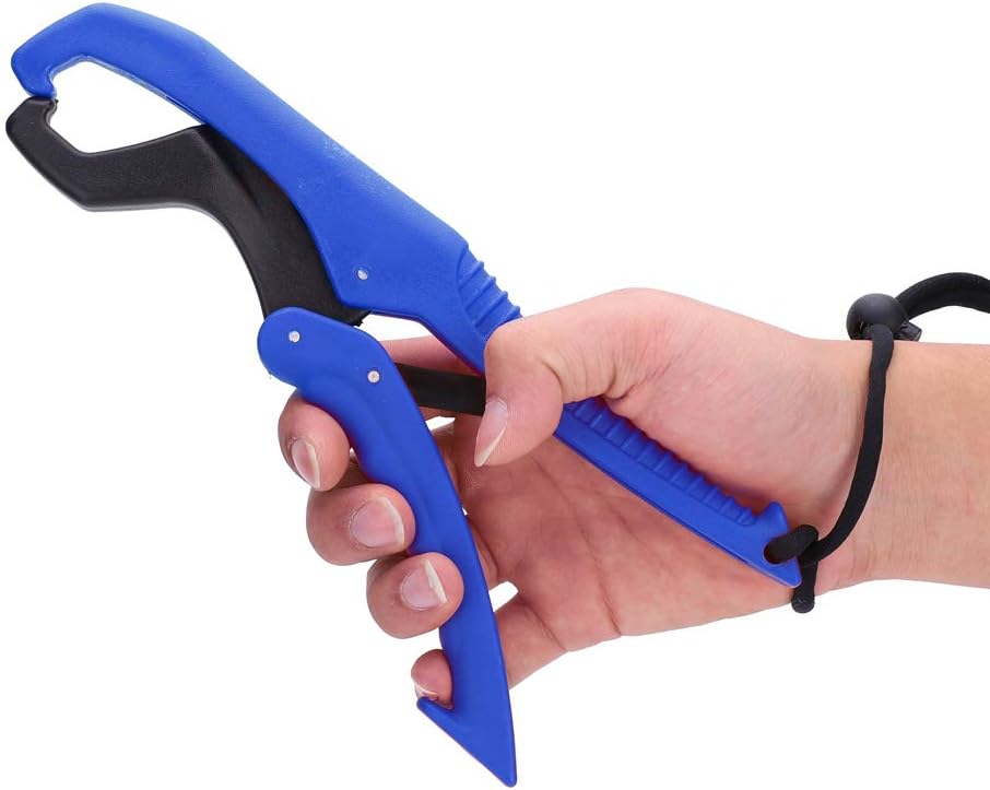 tool used to catch fish