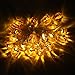 Velice Battery Operated LED Fairy String Lights 3D Pumpkin 20 LED Lights Halloween Christmas Decoration Lights (Pumpkin Light)