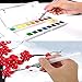 Water Coloring Brush Pens, Set of 6 Brush Tips for Watercolor Painting, Water Soluble Colored Penci, Water Color Brush Pens, Water-color Markers, Powdered Pigment or Watercolor Paints