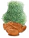 Chia Poppy, Trolls Pottery Planter