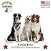 Premium Salmon Dog Treats Made in USA Only - One Ingredient: Wild Caught American Salmon - Freeze Dried, Human Grade - No Additives or Preservatives - Grain Free - Purr-fect Healthy Cat Snack too