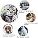 Johomoon 100Pcs Colorful Cats Paws Grooming Nail Claw Cap + 5Pcs Adhesive Glue + 5Pcs Applicator Soft Rubber Pet Nail Cover