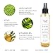 CSM Organic Alcohol-Free Witch Hazel Face Toner with Rose Water, Aloe Vera - Minimizes Pores, Soothes Skin for a Fresh, Clear Complexion - Easy Mist Spray - RAW Facial Toner - Made in The USA