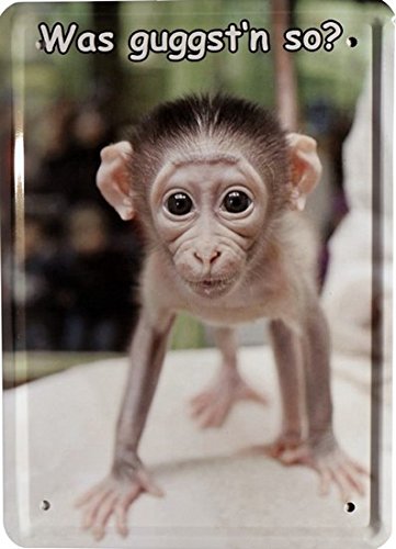 15 x 21 cm Tin Sign with Funny Little Monkey "guggst'n So What" MJ 154