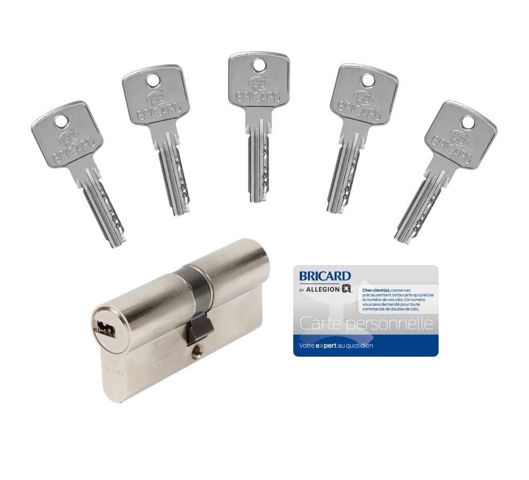 Bricard 15107 A6 Cylinder Lock with 5 Keys 35 + 35