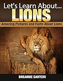 Lions (Let's Learn About)