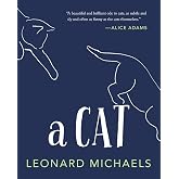 A Cat