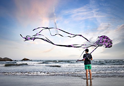 5 kizh+Octopus+Frameless+Parafoil+Playground