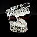 Carejoy® Dental Implant Disease Teeth Model with Restoration & Bridge Tooth Dental Tools