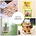 Horizon Group USA Classic Pine Wood Sticks for Craft, 4.5 inch (Pack of 200), Assorted