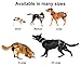 PABS, Pet Anti-Breeding System Chastity Belt for Dogs, Dog Diaper Alternative, Dog Chastity Belt Female (Please See Video) (Size Small – 8-15lbs)