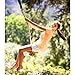 Tree Swing & Hammock Hanging Kit Straps -Two 5 ft Straps Holds 2000 lbs. - Attaches 2 Heavy Duty Carabiners Hook Easy & Fast Swing Strap Installation Fits Hammocks & Most Swing Seats (Hammock strap)