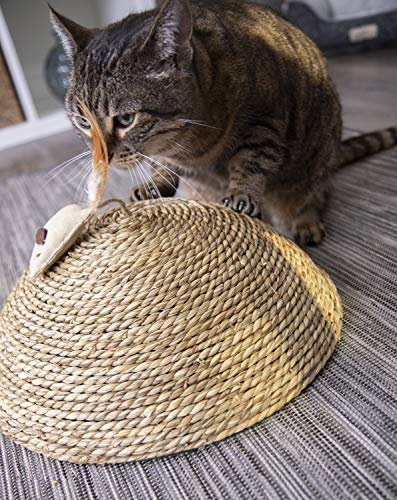 dome cat scratcher