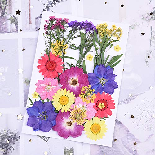 Yakuin 53 PCS Real Dried Pressed Flowers Leaves Petals Colorful Daisies for DIY Candle Resin Jewelry Nail Pendant Crafts Making Art Floral Decors