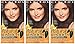 Clairol Natural Instincts 14 Tweed Light Cool Brown 1 Kit (Pack of 3)