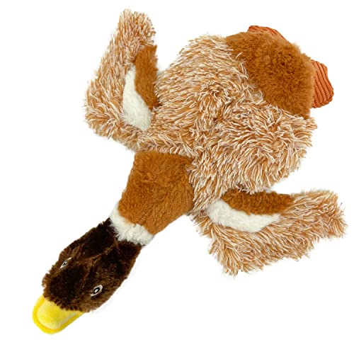 Best Pet Supplies Dog Chew Toys for Small and Medium Dogs, Tough