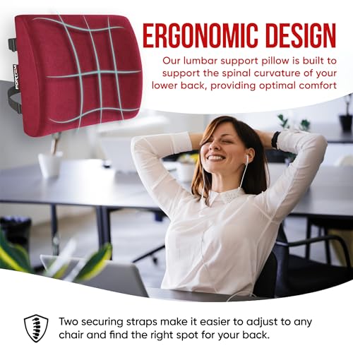 FORTEM Chair Cushion/Seat Cushion for Office, Lumbar Support for Chair, Car, Back Support Memory