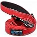 Max and Neo Reflective Nylon Dog Leash - We Donate One to Rescue for Each Sold (RED, 4ft)