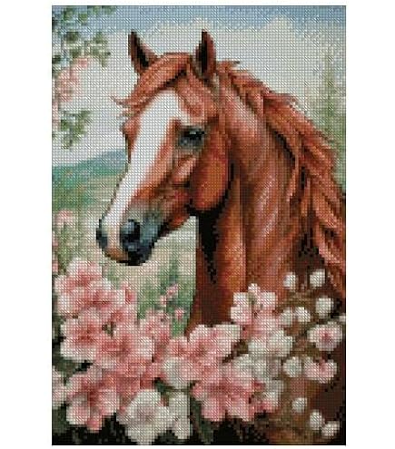 Dimensions Wildpferd Kreuzstich-Set – Inkl. Garn, Stoff, Nadel Für 35,6 X 25,4 Cm Motiv