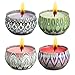 AMASKY Scented Candle, Aromatherapy Candle Rustic Home Decor for Stress Relief,Weddings,Christmas Gift, Made of Natural Soy Wax,Fresh & Elegant Blend Fragrances in Stages (2.2 oz)