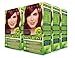 Naturtint Permanent Hair Color 6.66 Fireland Red (Pack of 6), Ammonia Free, Vegan, Cruelty Free, up to 100% Gray Coverage, Long Lasting Results